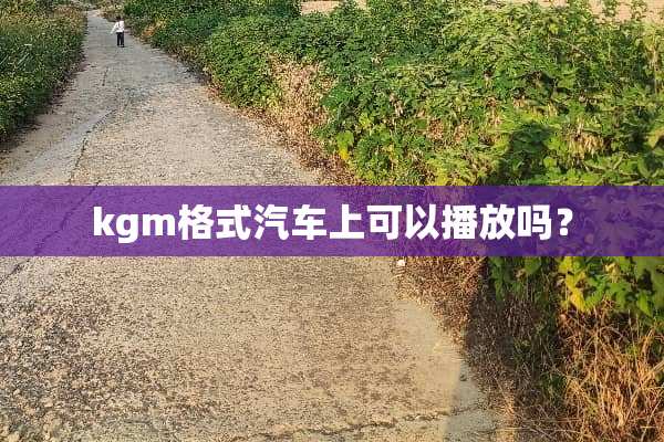 kgm格式汽车上可以播放吗？