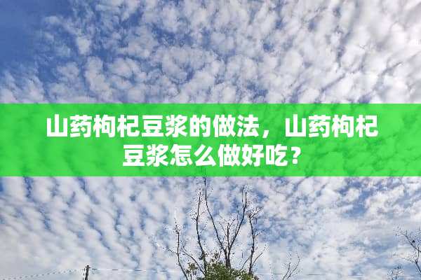 山药枸杞豆浆的做法，山药枸杞豆浆怎么做好吃？