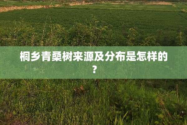 桐乡青桑树来源及分布是怎样的？