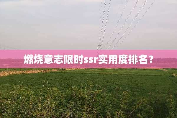燃烧意志限时ssr实用度排名？