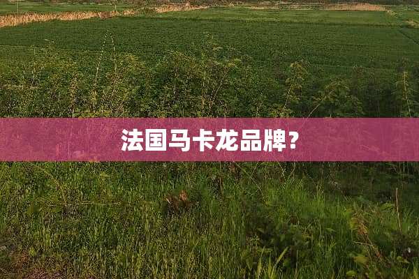 法国马卡龙品牌？