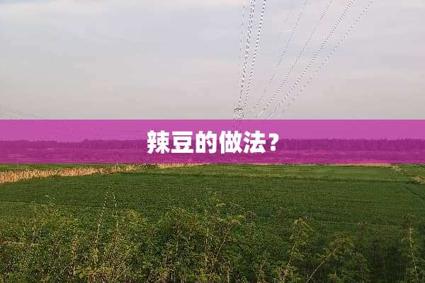辣豆的做法？