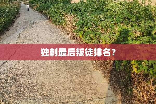 独刺最后叛徒排名？