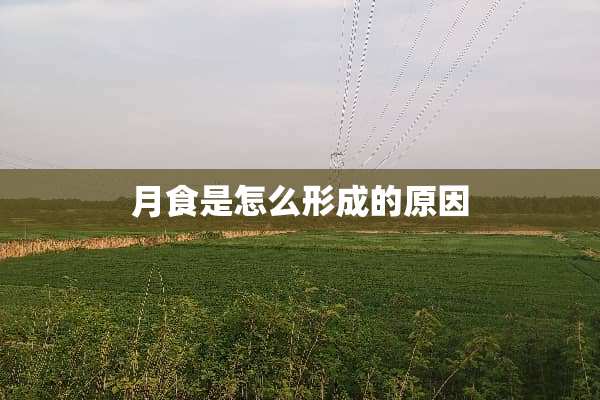 月食是怎么形成的原因