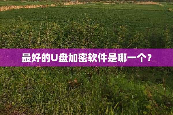最好的U盘加密软件是哪一个？