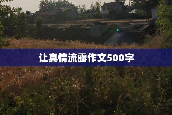 让真情流露作文500字