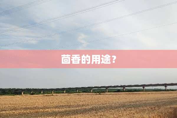 茴香的用途？
