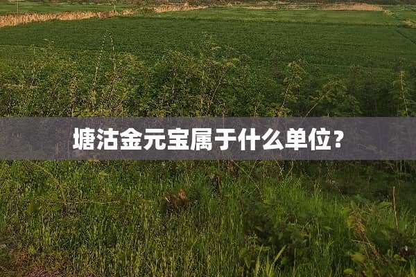塘沽金元宝属于什么单位？