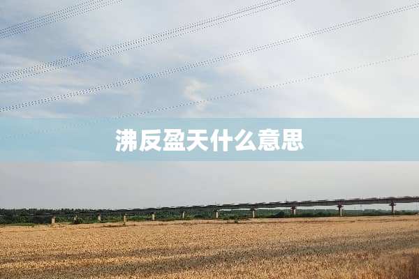 沸反盈天什么意思