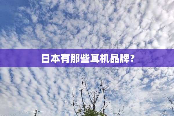 日本有那些耳机品牌？