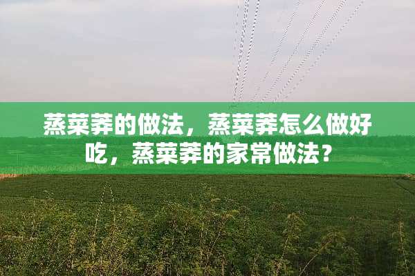 蒸菜莽的做法，蒸菜莽怎么做好吃，蒸菜莽的家常做法？