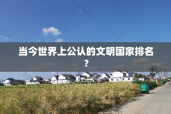 当今世界上公认的文明国家排名？
