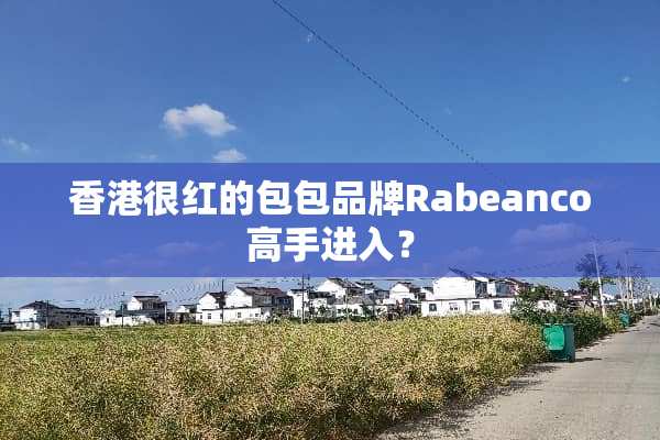 香港很红的包包品牌Rabeanco高手进入？