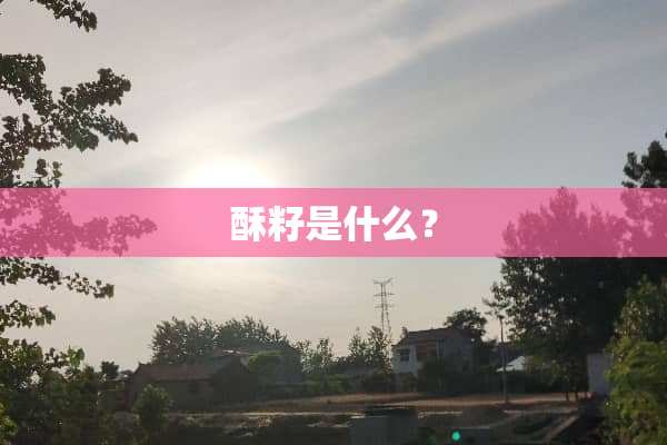 酥籽是什么？