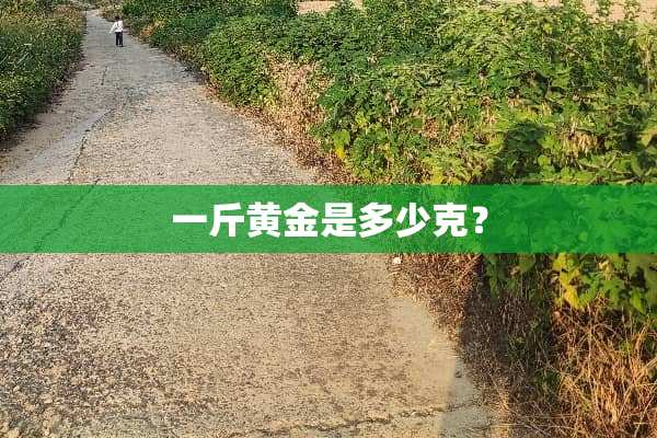 一斤黄金是多少克？