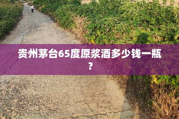 贵州茅台65度原浆酒多少钱一瓶？