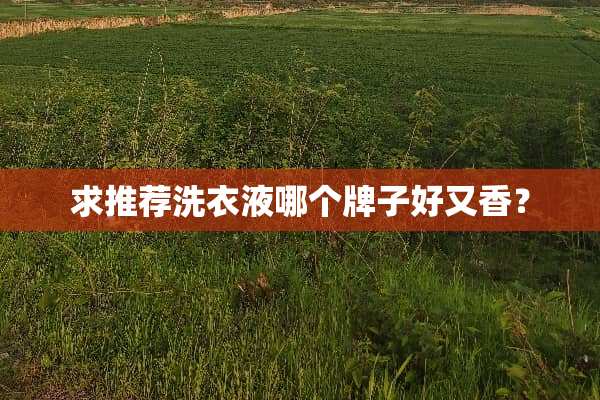 求推荐洗衣液哪个牌子好又香？
