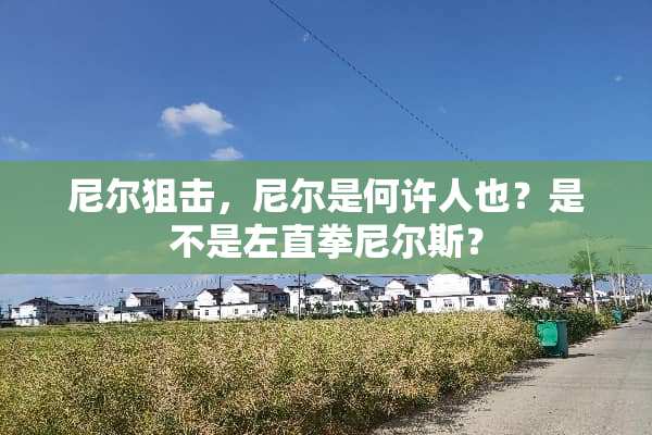 尼尔**，尼尔是何许人也？是不是左直拳尼尔斯？