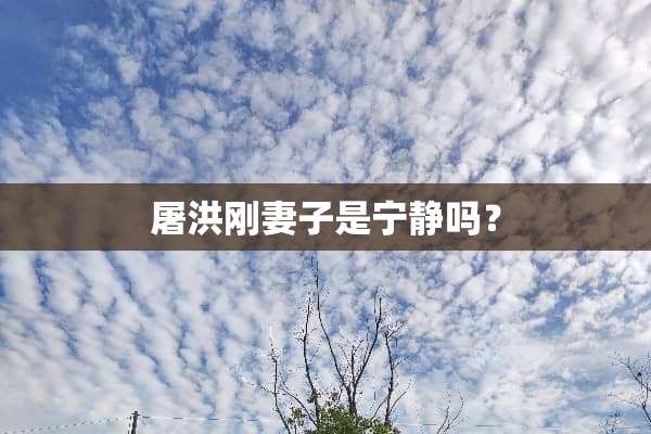 屠洪刚妻子是宁静吗？