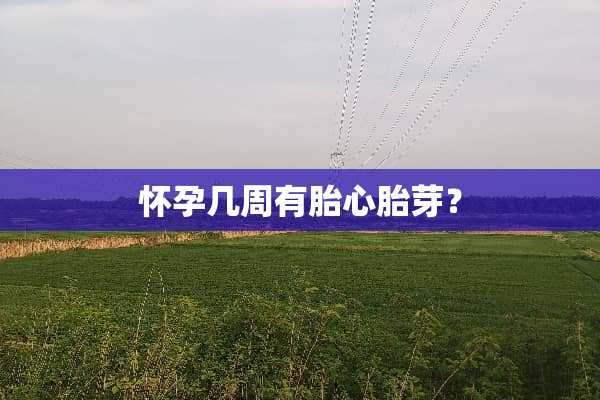 怀孕几周有胎心胎芽？