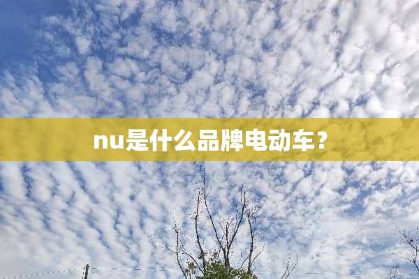 nu是什么品牌电动车？