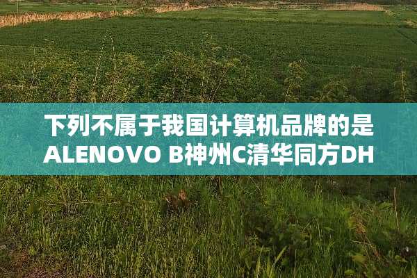 下列不属于我国计算机品牌的是ALENOVO B神州C清华同方DHP？