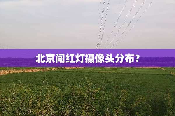北京闯红灯**头分布？