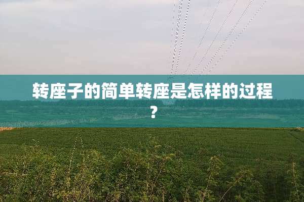 转座子的简单转座是怎样的过程？