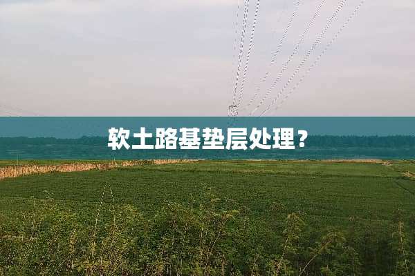 软土路基垫层处理？