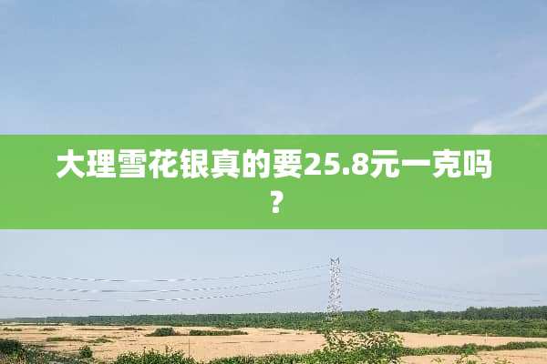 大理雪花银真的要25.8元一克吗？