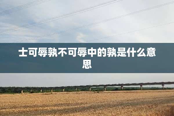 士可辱孰不可辱中的孰是什么意思