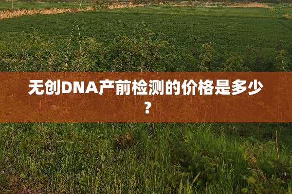 无创DNA产前检测的价格是多少？