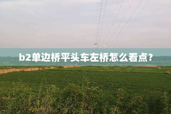 b2单边桥平头车左桥怎么看点？