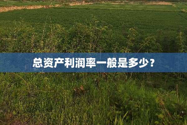 总资产利润率一般是多少？