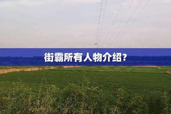 街霸所有人物介绍？