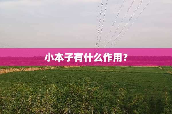 小本子有什么作用？