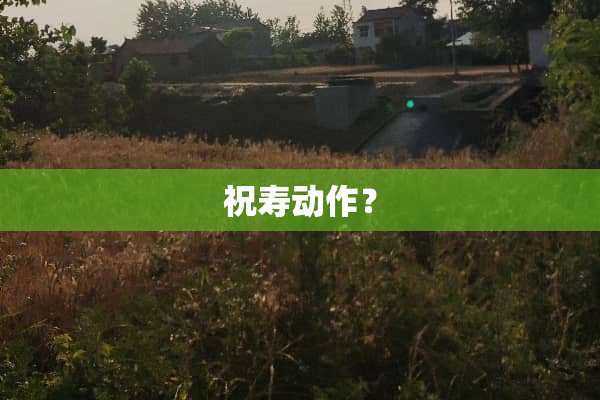 祝寿动作？