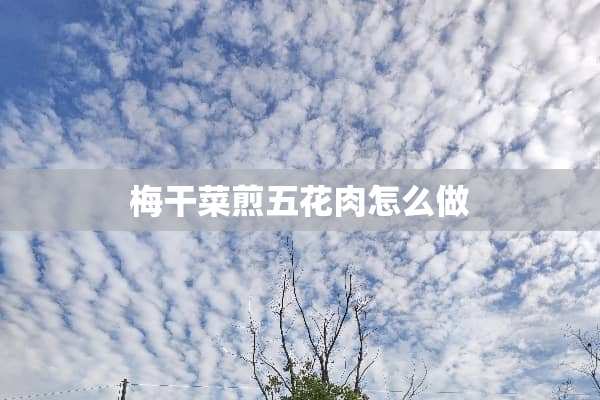 梅干菜煎五花肉怎么做