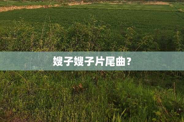 嫂子嫂子片尾曲？