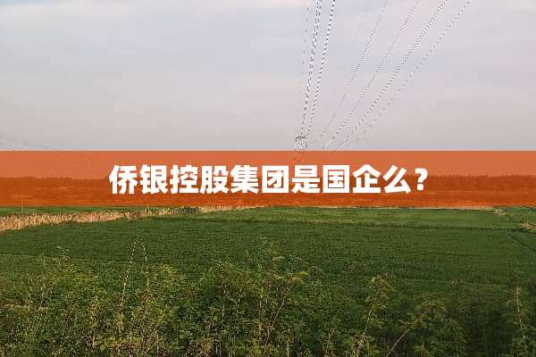 侨银控股集团是国企么？
