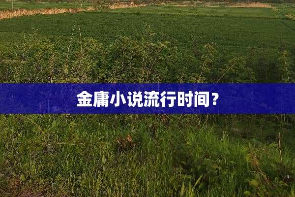 金庸小说流行时间？