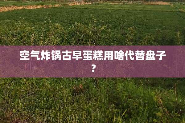 空气炸锅古早蛋糕用啥代替盘子？