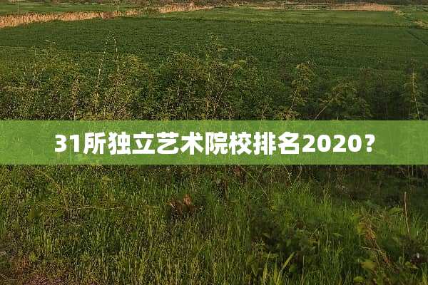 31所独立艺术院校排名2020？