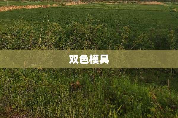 双色模具