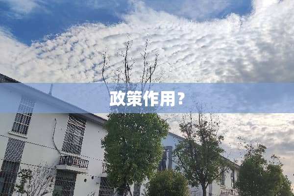 政策作用？