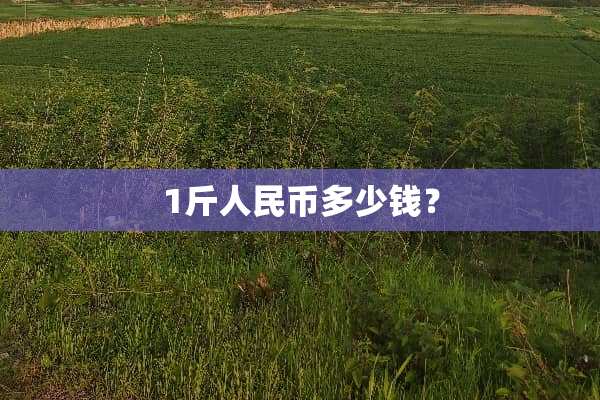 1斤人民币多少钱？
