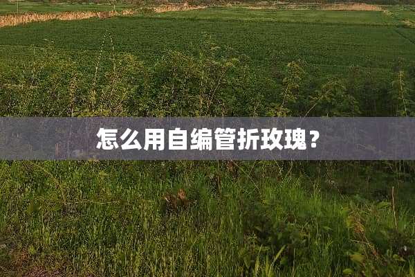 怎么用自编管折玫瑰？
