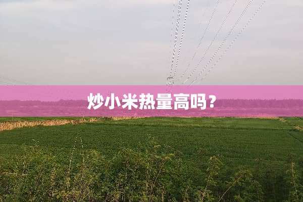 炒小米热量高吗？