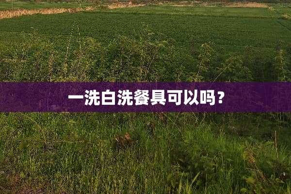 一洗白洗餐具可以吗？