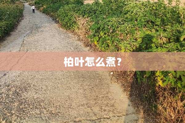 柏叶怎么煮？